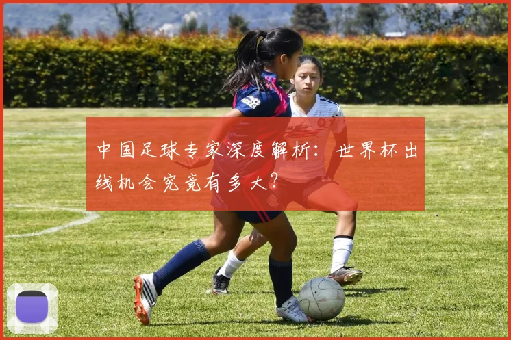 中国足球专家深度解析：世界杯出线机会究竟有多大？