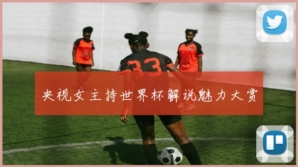 央视女主持世界杯解说魅力大赏