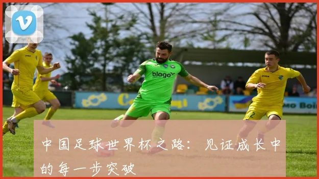中国足球世界杯之路：见证成长中的每一步突破