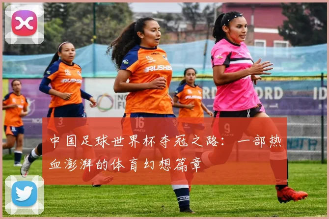 中国足球世界杯夺冠之路：一部热血澎湃的体育幻想篇章