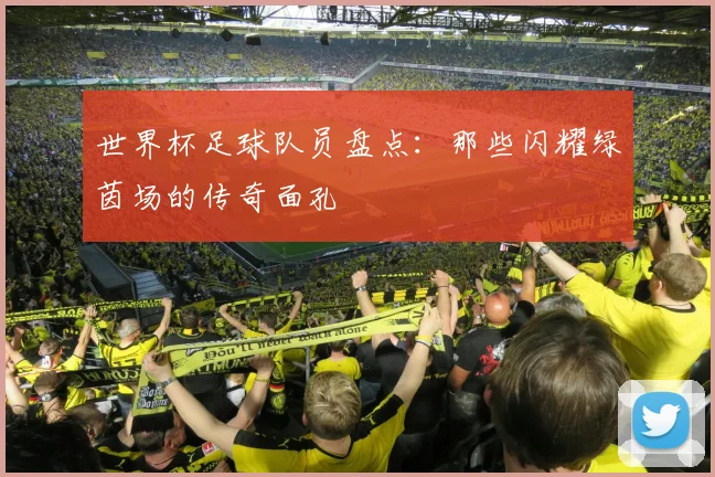世界杯足球队员盘点:那些闪耀绿茵场的传奇面孔