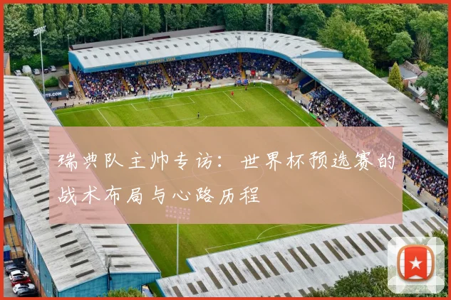 瑞典队主帅专访:世界杯预选赛的战术布局与心路历程