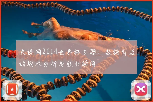 央视网2014世界杯专题：数据背后的战术分析与经典瞬间