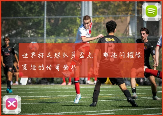 世界杯足球队员盘点:那些闪耀绿茵场的传奇面孔