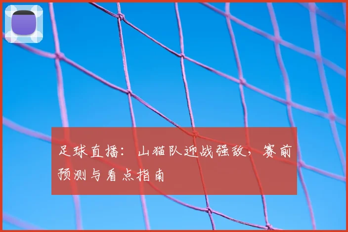 足球直播：山猫队迎战强敌，赛前预测与看点指南