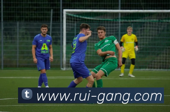 App Interface Preview